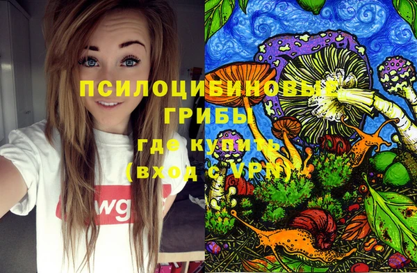 a pvp Алексеевка
