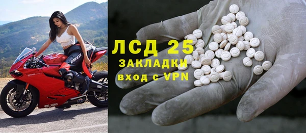 эйфоретик Алзамай