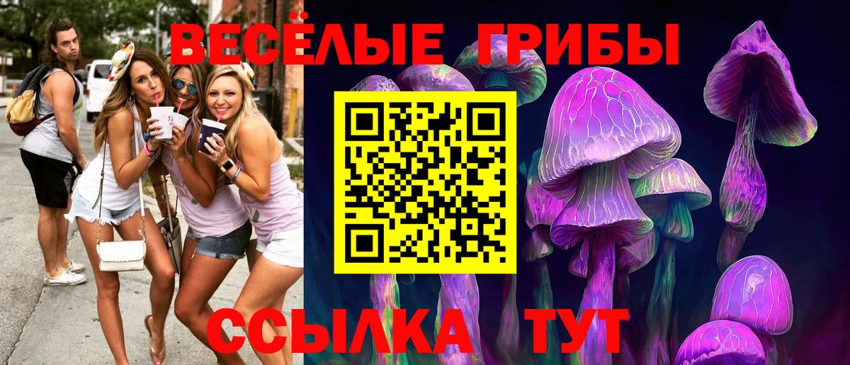 Волжский  Псилоцибиновые грибы MAGIC MUSHROOMS  Вход с VPN 